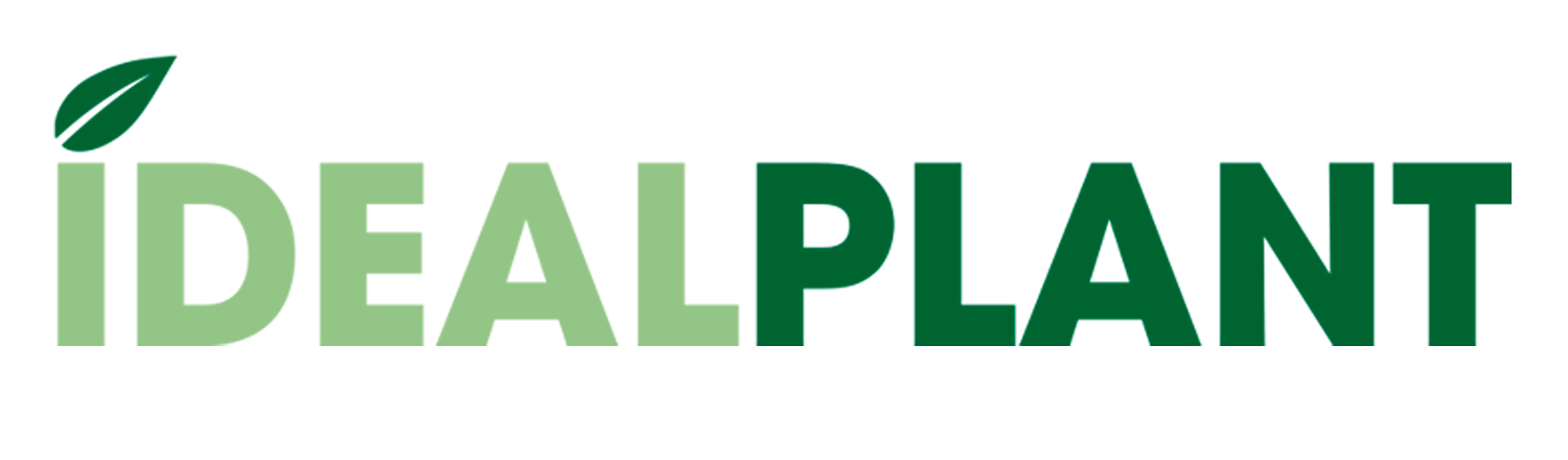 logo Idealplant HD