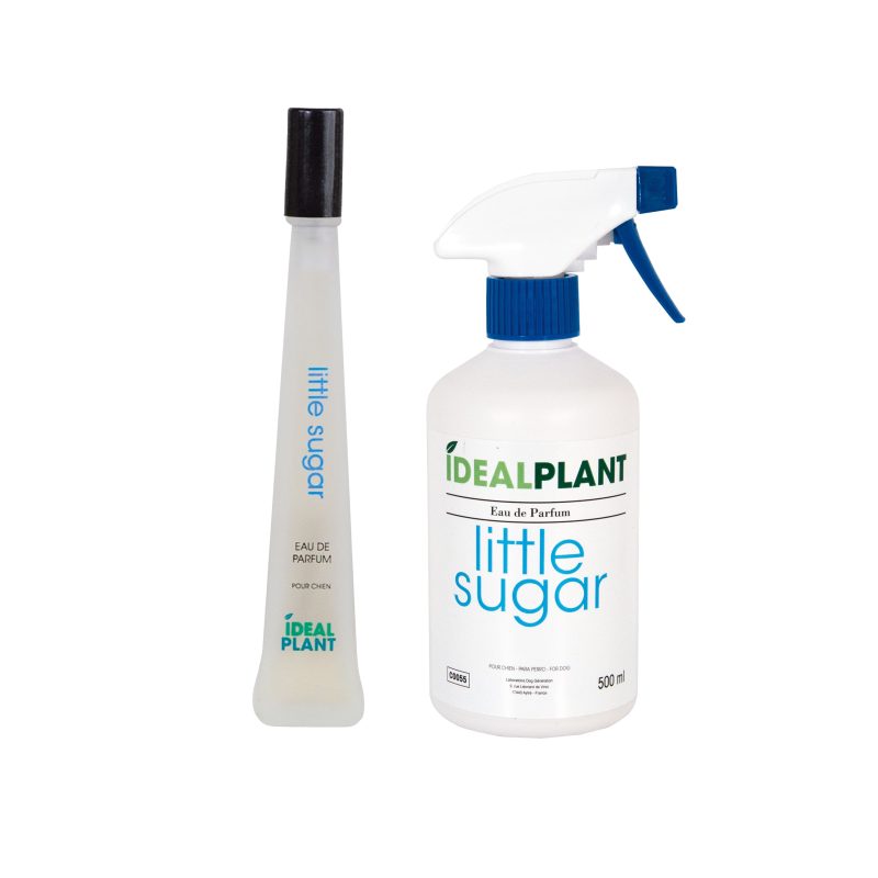 Parfum little sugar C0071