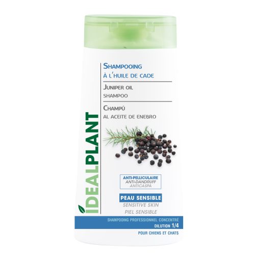 Shampooing pellicule chien K0113