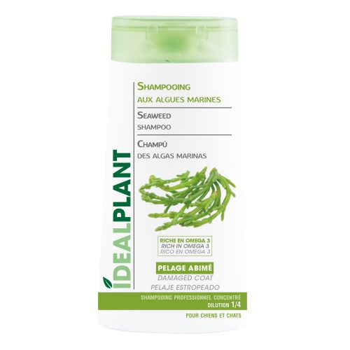 Shampooing Idealplant Chien K0114