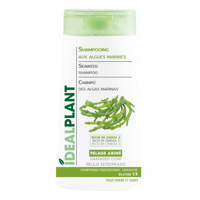Shampooing Idealplant Chien K0114